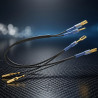 GENEROX 6 Pin Horn Wiring for Bike & Car